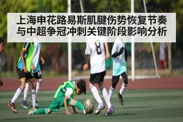上海申花路易斯肌腱伤势恢复节奏与中超争冠冲刺关键阶段影响分析